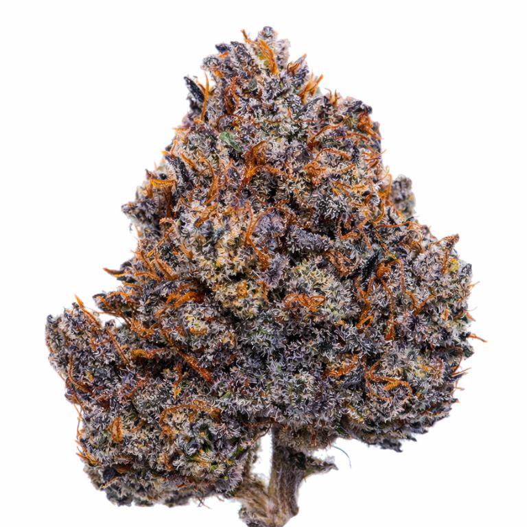 Buy Purple Haze Feminized Seeds Canada | RKS